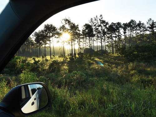 location de voiture Saint Laurent du Maroni : Lever de soleil &agrave; l'entr&eacute;e de Sinnamary 